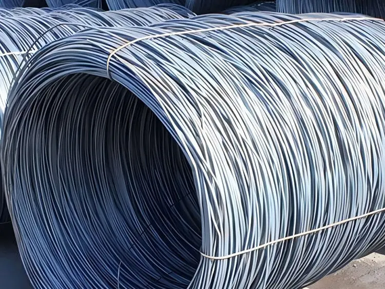 Galvanized steel wire rod in coils photo 3